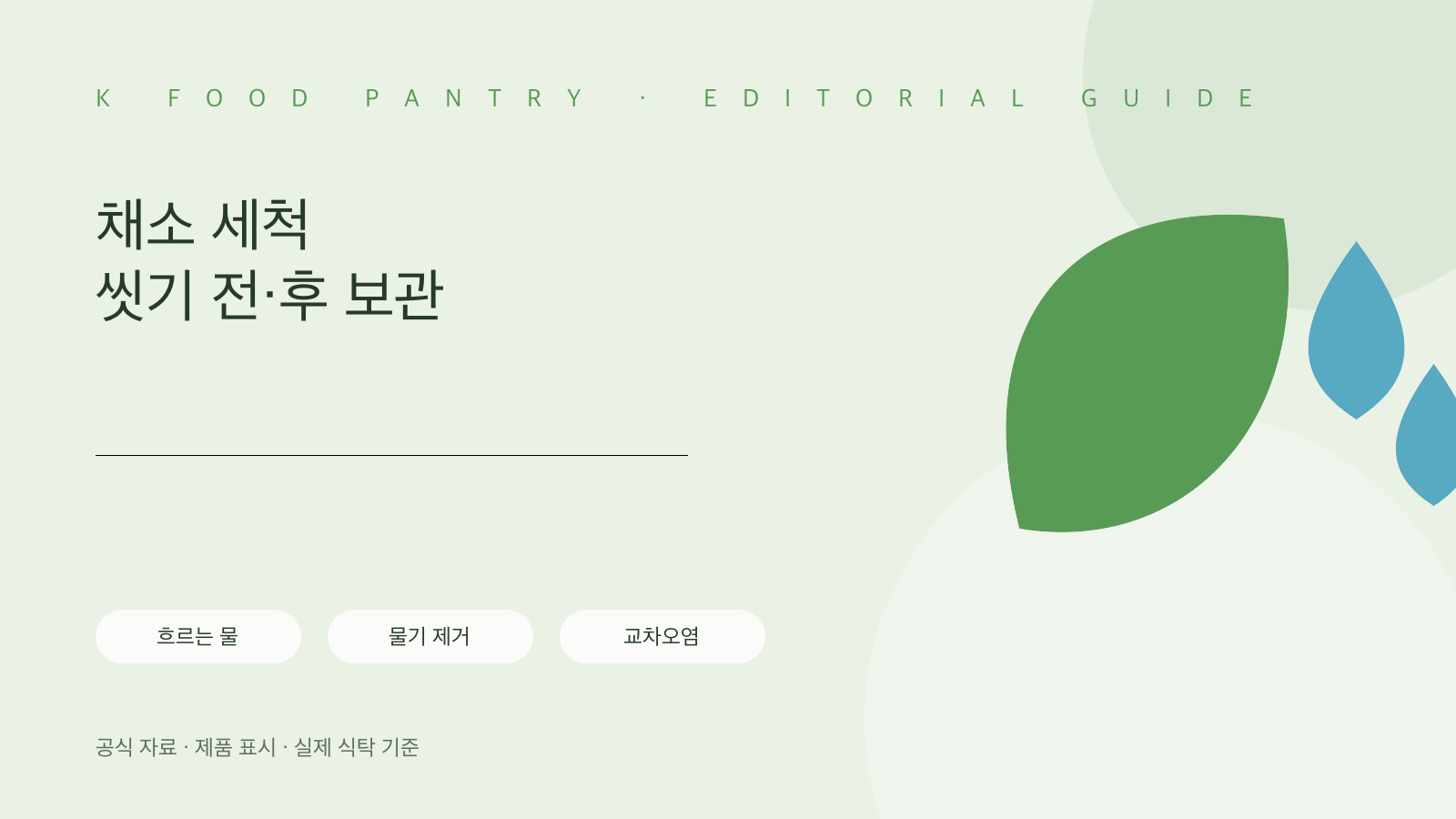 채소는 언제 씻어야 할까? 세척 전·후 냉장 보관과 교차오염 구분법 핵심 확인표